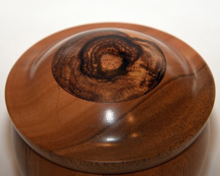 Eucalyptus box with Caragana Inset